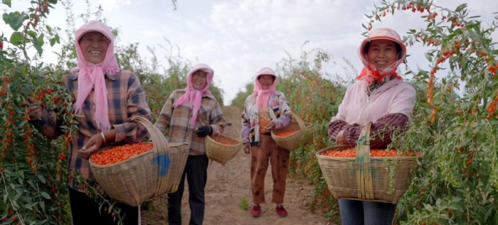 容声冰箱助农实践获权威认可，打造可持续发展新模式(图3)