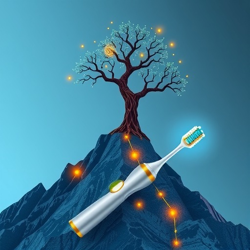 市场阶段性触顶，电动牙刷如何撬动新增长？(图2)