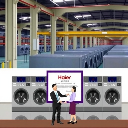 惠而浦拟收购格兰仕洗衣机业务资产 7462万元拿下！(图1)