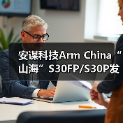 安谋科技Arm China“山海”S30FP/S30P发布,抗物理攻击强,功能安全可达ASIL D(图2) 安谋科技Arm China“山海”S30FP/S30P发布,抗物理攻击强,功能安全可达ASIL D(图2)