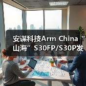 安谋科技Arm China“山海”S30FP/S30P发布,抗物理攻击强,功能安全可达ASIL D(图4) 安谋科技Arm China“山海”S30FP/S30P发布,抗物理攻击强,功能安全可达ASIL D(图4)