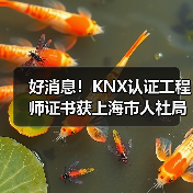 好消息！KNX认证工程师证书获上海市人社局官方认可！