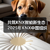 共筑KNX智能新生态 | 2025年KNX中国组织会员大会暨生态大会圆满落幕(图4) 共筑KNX智能新生态 | 2025年KNX中国组织会员大会暨生态大会圆满落幕(图4)