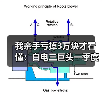 我亲手亏掉3万块才看懂：白电三巨头一季度业绩冷暖不均分化加剧