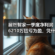居然智家一季度净利润6210万扭亏为盈,凭什么?(图3) 居然智家一季度净利润6210万扭亏为盈,凭什么?(图3)