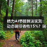 格力AI节能算法实测:动态调节省电15%?别瞎吹(图2) 格力AI节能算法实测:动态调节省电15%?别瞎吹(图2)