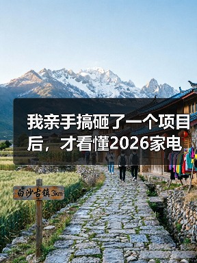 我亲手搞砸了一个项目后,才看懂2026家电行业从规模扩张转向价值创造赛道(图4) 我亲手搞砸了一个项目后,才看懂2026家电行业从规模扩张转向价值创造赛道(图4)