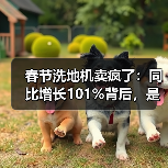 春节洗地机卖疯了：同比增长101%背后，是你不懂的品质消费（图3）