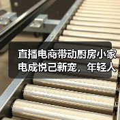 直播电商带动厨房小家电成悦己新宠，年轻人到底在买什么？