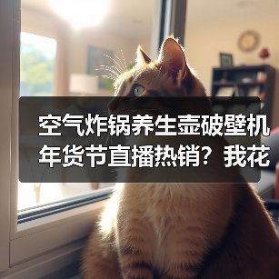 空气炸锅养生壶破壁机年货节直播热销？我花了三千块才搞明白