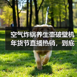 空气炸锅养生壶破壁机年货节直播热销，到底谁在买单？
