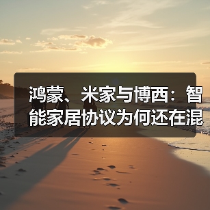 鸿蒙、米家与博西：智能家居协议为何还在混战（图4）
