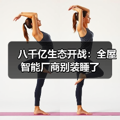 八千亿生态开战:全屋智能厂商别装睡了(图4) 八千亿生态开战:全屋智能厂商别装睡了(图4)