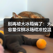 别再被大冰箱骗了:大容量保鲜冰箱精准控温净味除菌热销,但90%的人用错了(图2) 别再被大冰箱骗了:大容量保鲜冰箱精准控温净味除菌热销,但90%的人用错了(图2)