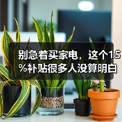 别急着买家电，这个15%补贴很多人没算明白