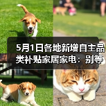 5月1日各地新增自主品类补贴家居家电：别等618了，这波羊毛你根本薅不全（图3）