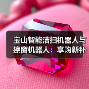 宝山智能洁扫机器人与擦窗机器人：享购新补贴下的真实价值
