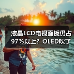 液晶LCD电视面板仍占97%以上?OLED吹了这么多年就这?(图3) 液晶LCD电视面板仍占97%以上?OLED吹了这么多年就这?(图3)