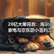 20亿大单背后:海尔小家电与京东厨小签约三年AI之约的真相(图3) 20亿大单背后:海尔小家电与京东厨小签约三年AI之约的真相(图3)