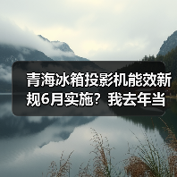 青海冰箱投影机能效新规6月实施?我去年当儿戏,现在被罚了几千(图4) 青海冰箱投影机能效新规6月实施?我去年当儿戏,现在被罚了几千(图4)
