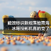 能效标识新规落地青海：冰箱投影机真的变了吗？