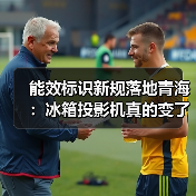 能效标识新规落地青海:冰箱投影机真的变了吗?(图3) 能效标识新规落地青海:冰箱投影机真的变了吗?(图3)