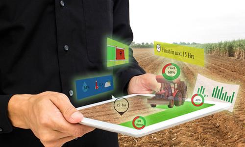 农业中的物联网：技术如何改变农业实践