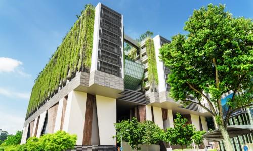 可持续建筑技术：环保建筑材料和实践的进步