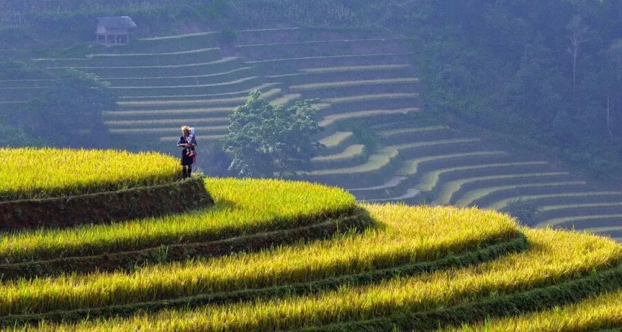 品牌力之外，产品力正成为一些家电企业的“杀手锏”(图1)