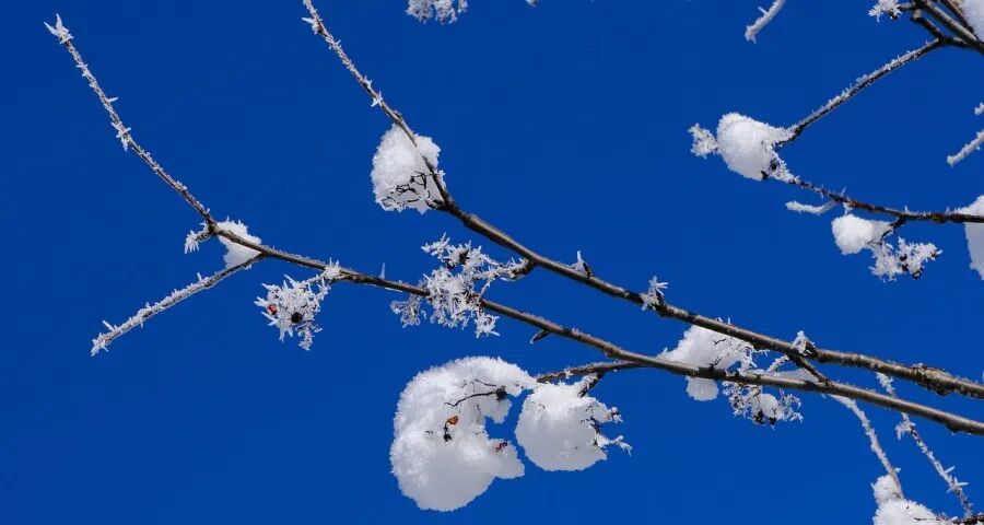 家电企业今后“活下去”的根与魂(图1)