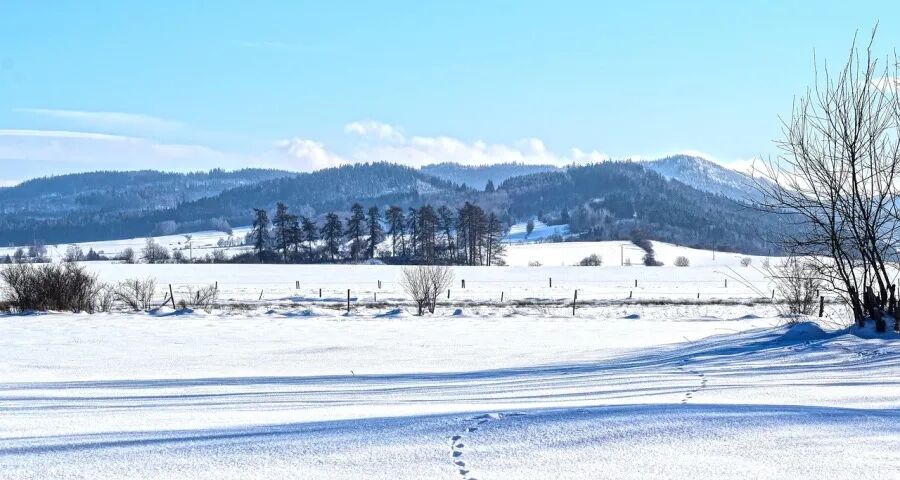 接下来家电厂商市场抢单还缺点啥(图1)