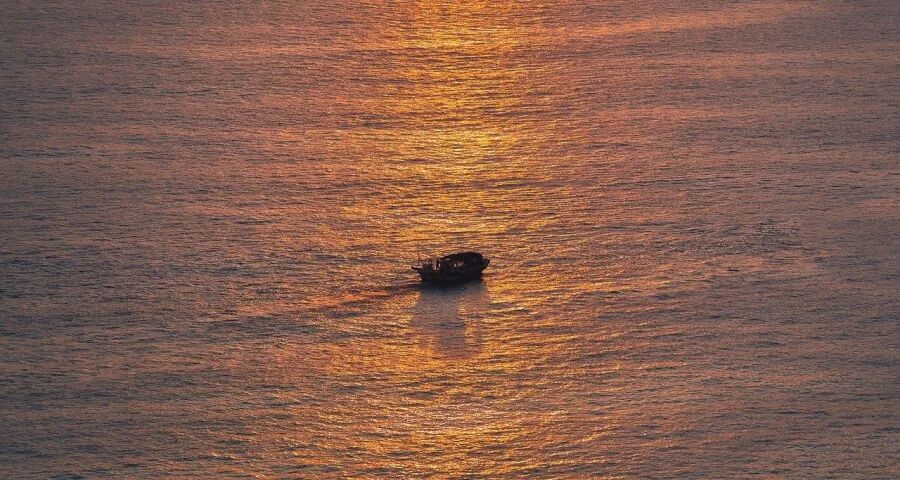 本周家电圈:涨价!长虹海信TCL九阳向上美博京东苏宁德尔玛有变(图1)