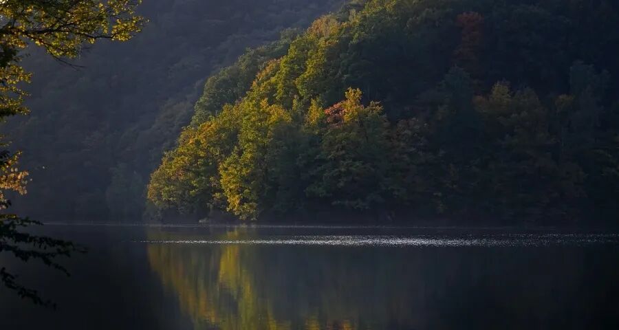 家电存量消费的激活难度超出预期(图1)