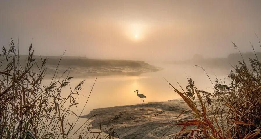 今年家电企业三季报的成败与反思(图1)