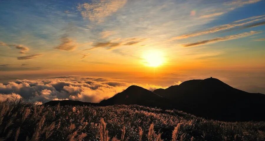 未来5年家电行业确定性机会来了(图1)