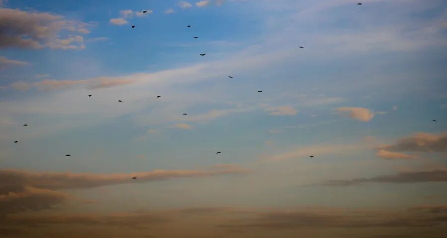 市场内卷化加速中小家电厂商出局(图1)