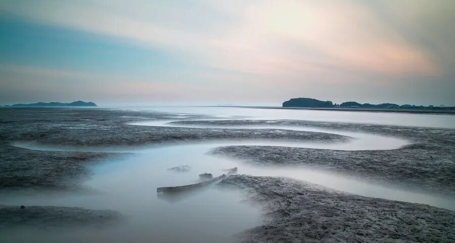 有家电厂商称不再参与拼低价内卷(图1)