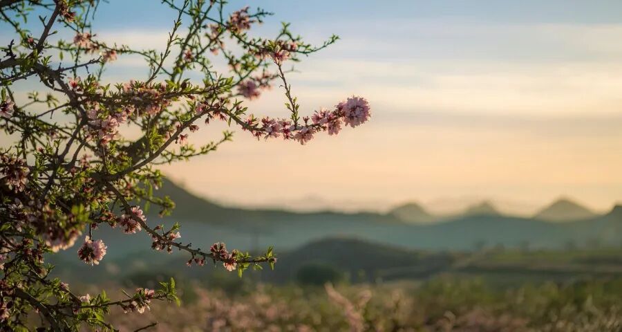 乐视小米追觅们进军家电业的野心(图1)