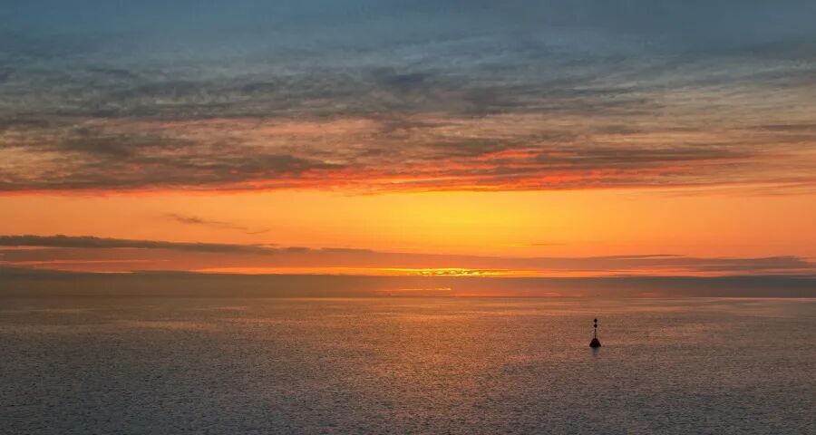 中小家电企业为何喜欢扩产能？(图1)