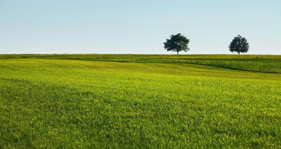 家电市场和消费面临被大量透支