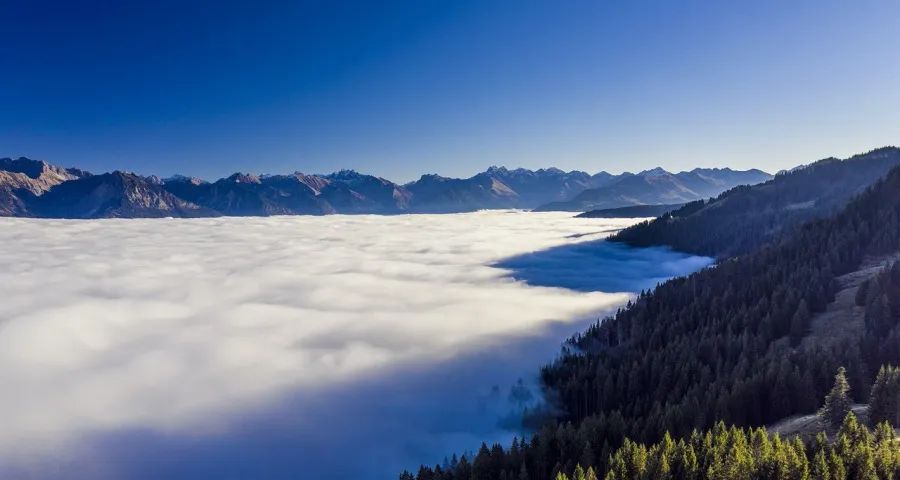 今年家电企业要敢于慢下来(图1)