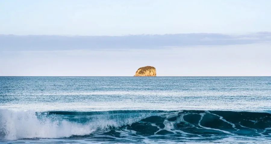 家电家居拉通今年市场还有戏吗(图1)