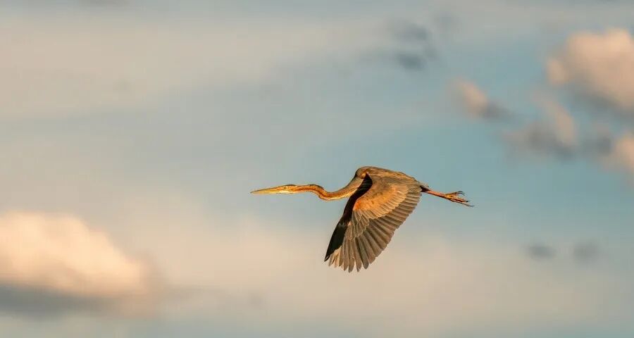 10年免费包修点燃今年空调战火(图1)