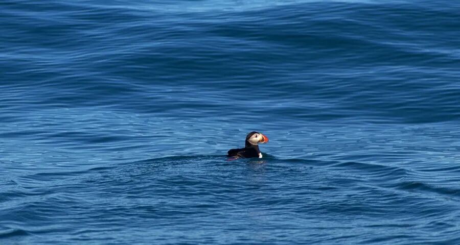 家电企业掉进伪用户时代的大坑(图1)