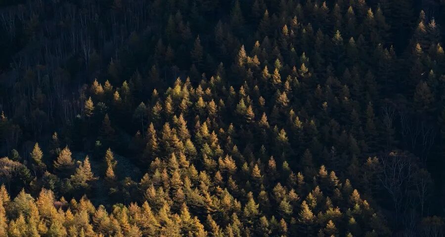 今年家电市场价格竞争将更惨烈(图1)