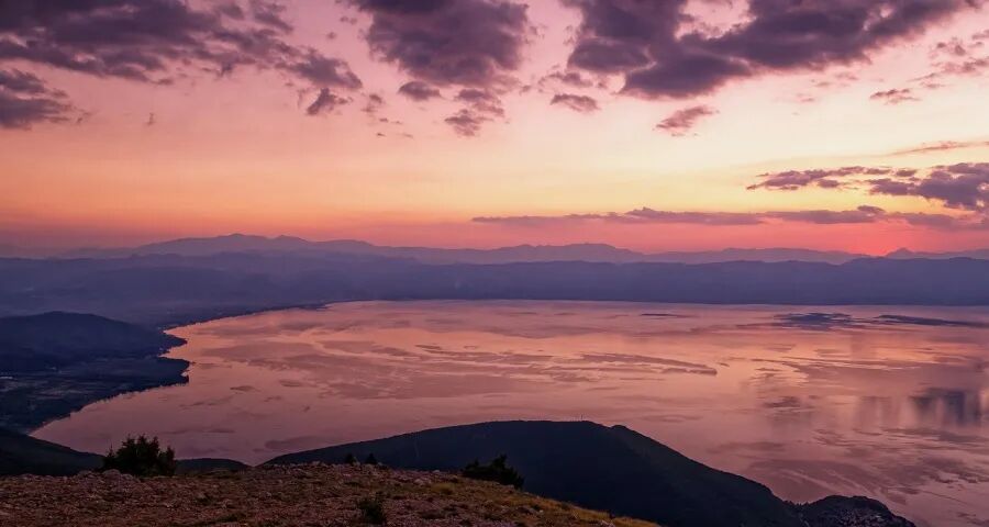 今年家电市场渠道定制机或泛滥(图1)