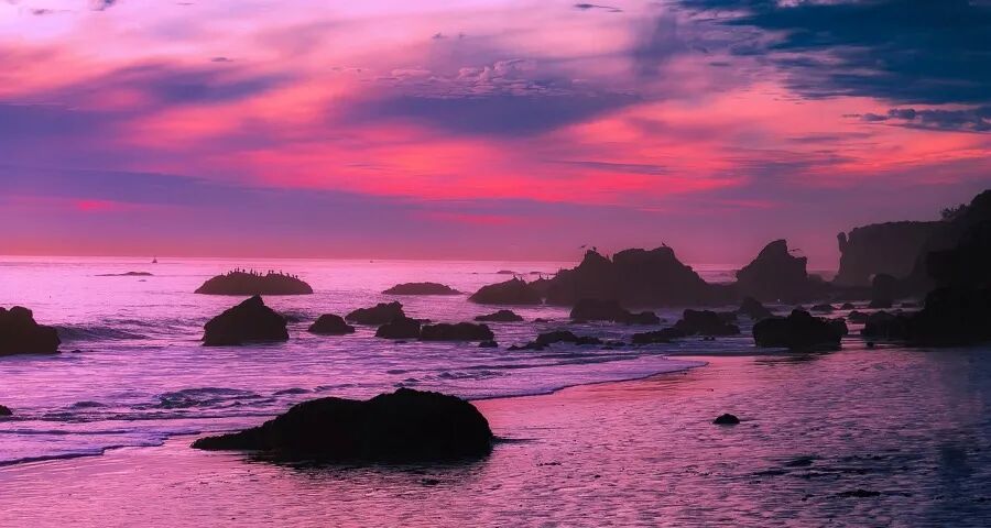 2026家电市场开局有三个没想到(图1)