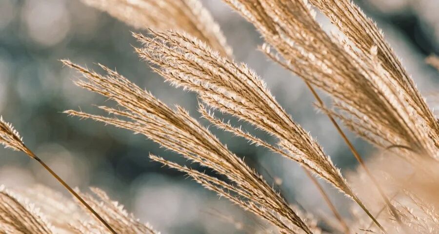 今年起家电厂商将告别单线竞争(图1)