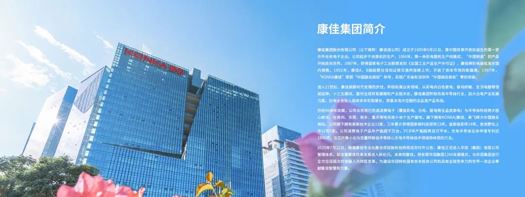 家电业的2025，有人吃肉，有人连碗都丢了(图12)