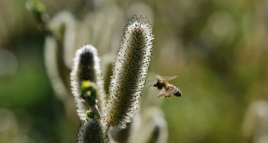 二季度家电市场三个挑战两大变量